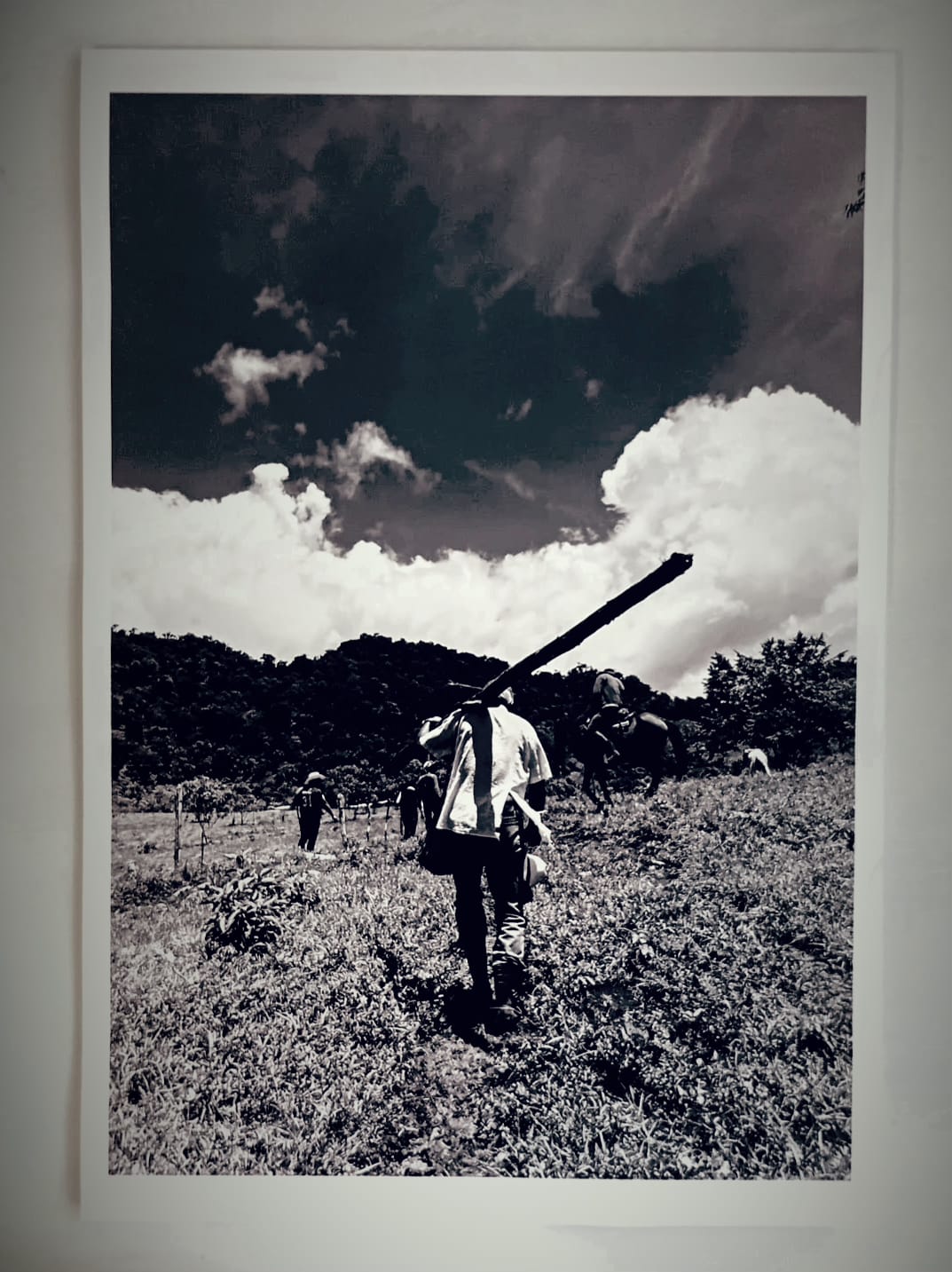 Fotografías con causa - Joel Martínez - Fotógrafo Indígena Chiapaneco